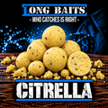 Long Baits - Citrella Boilies